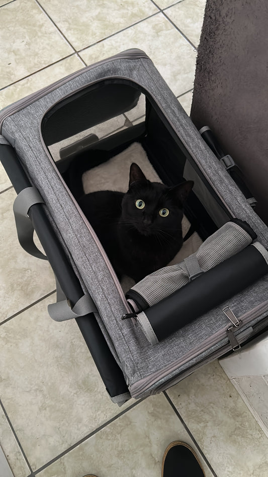 Extra Large Portable Pet Trolley Case, Detachable Dog Trolley Case, Large Foldable Pet Bag Cat Travel Carrier Bag