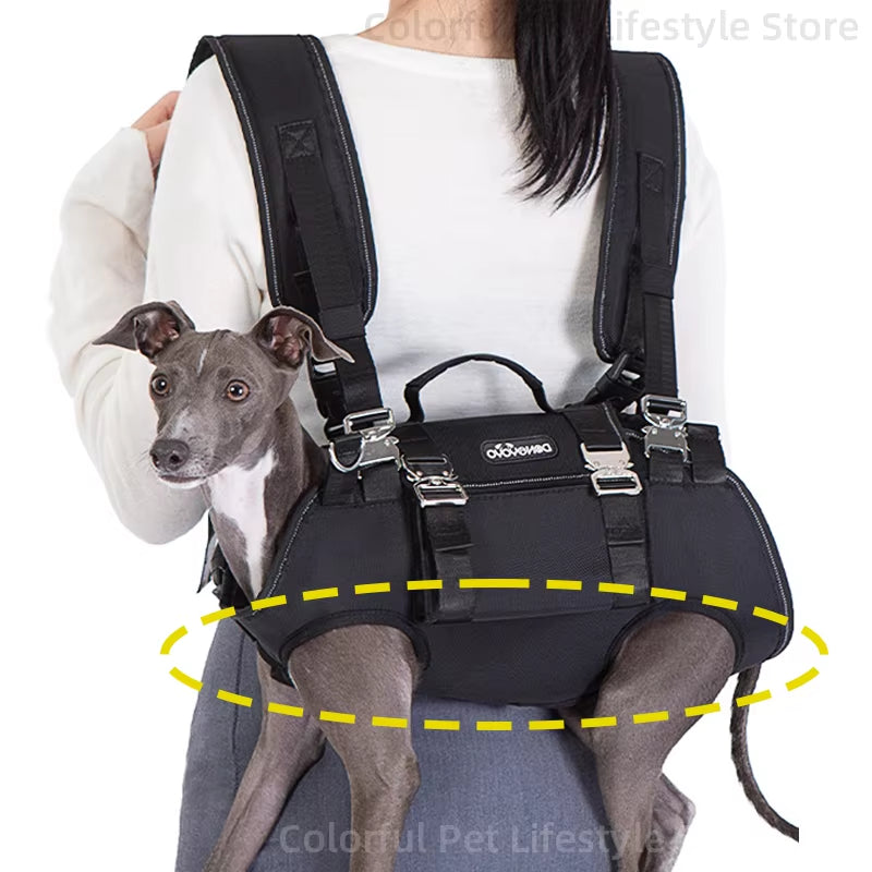 Ultimate Outdoor Dog Backpack Carrier - Comfortable, Breathable, and Spine-Safe for Hiking Adventures!